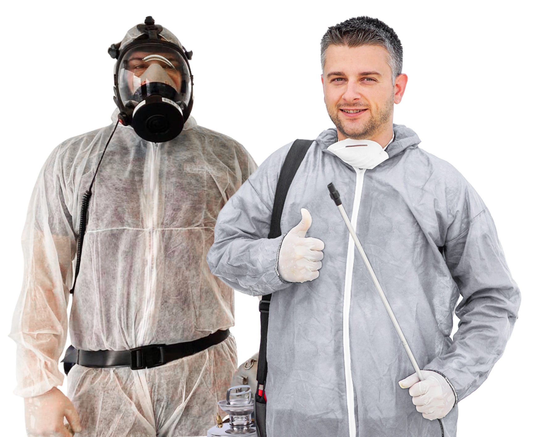 Steam Treatment Service for Bed Bugs Steam Bed Bug Removal