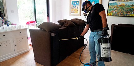 Technician performs second treatment for bed bugs