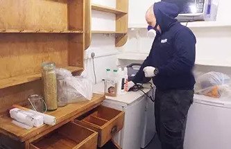 Pest technician preparing the necessary equipment for treatment of carpet beetles