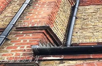 spikes installed on roof to prevent birds from landing on it