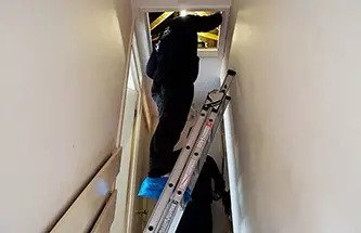 Pest technician checking a loft for squirrels