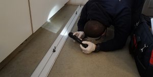 checking for bed bugs - pest inspection service
