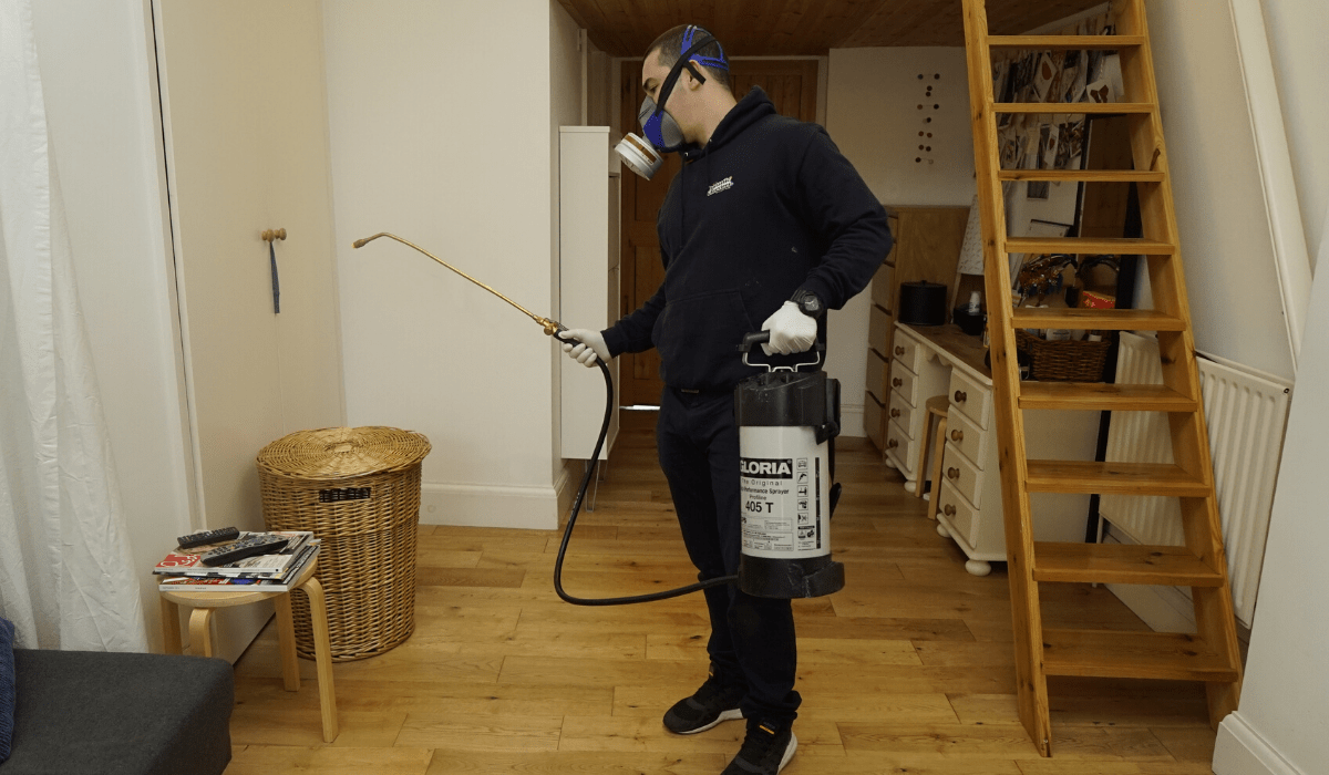 spraying against fleas