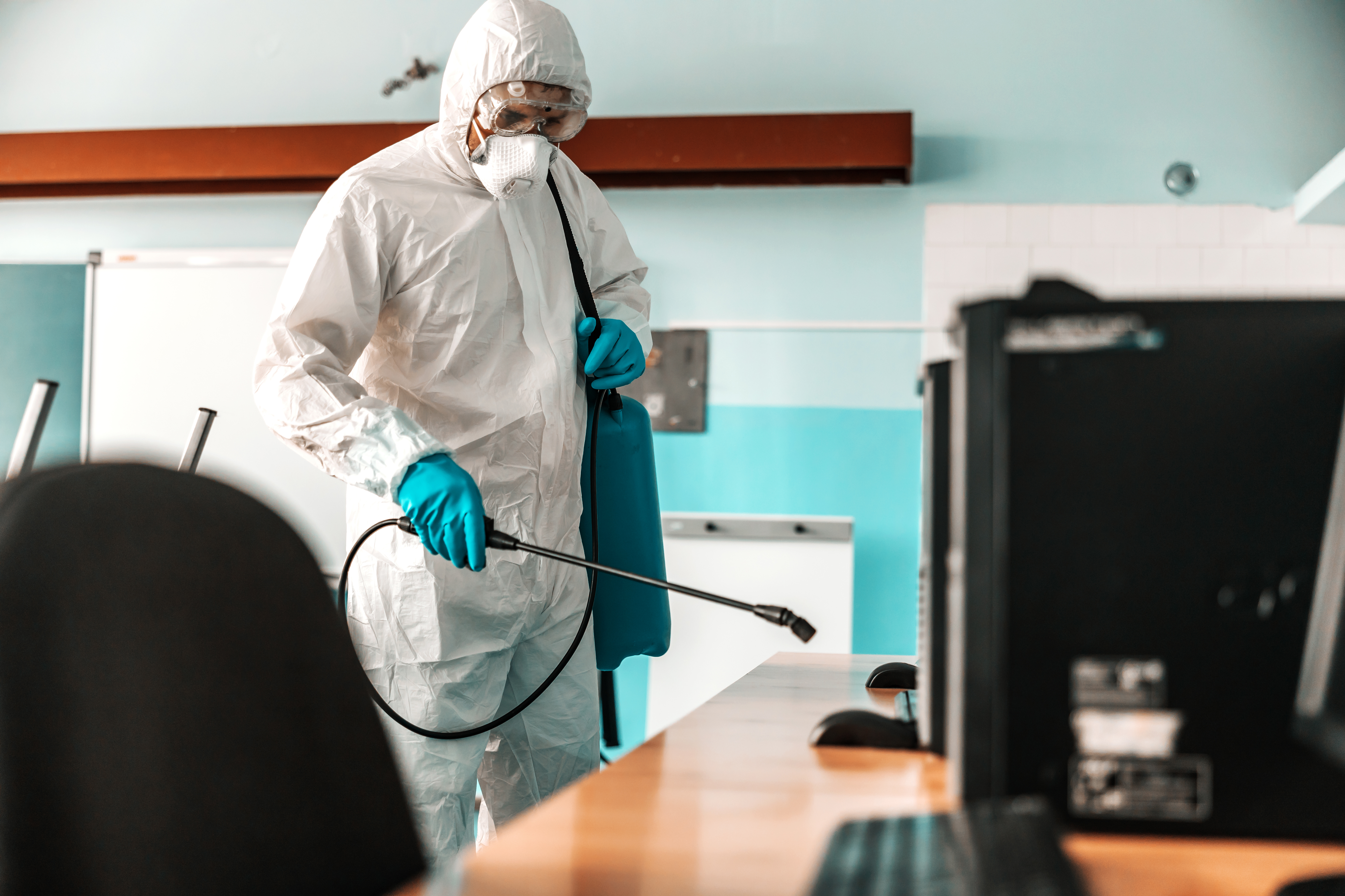 pest control in office buildings