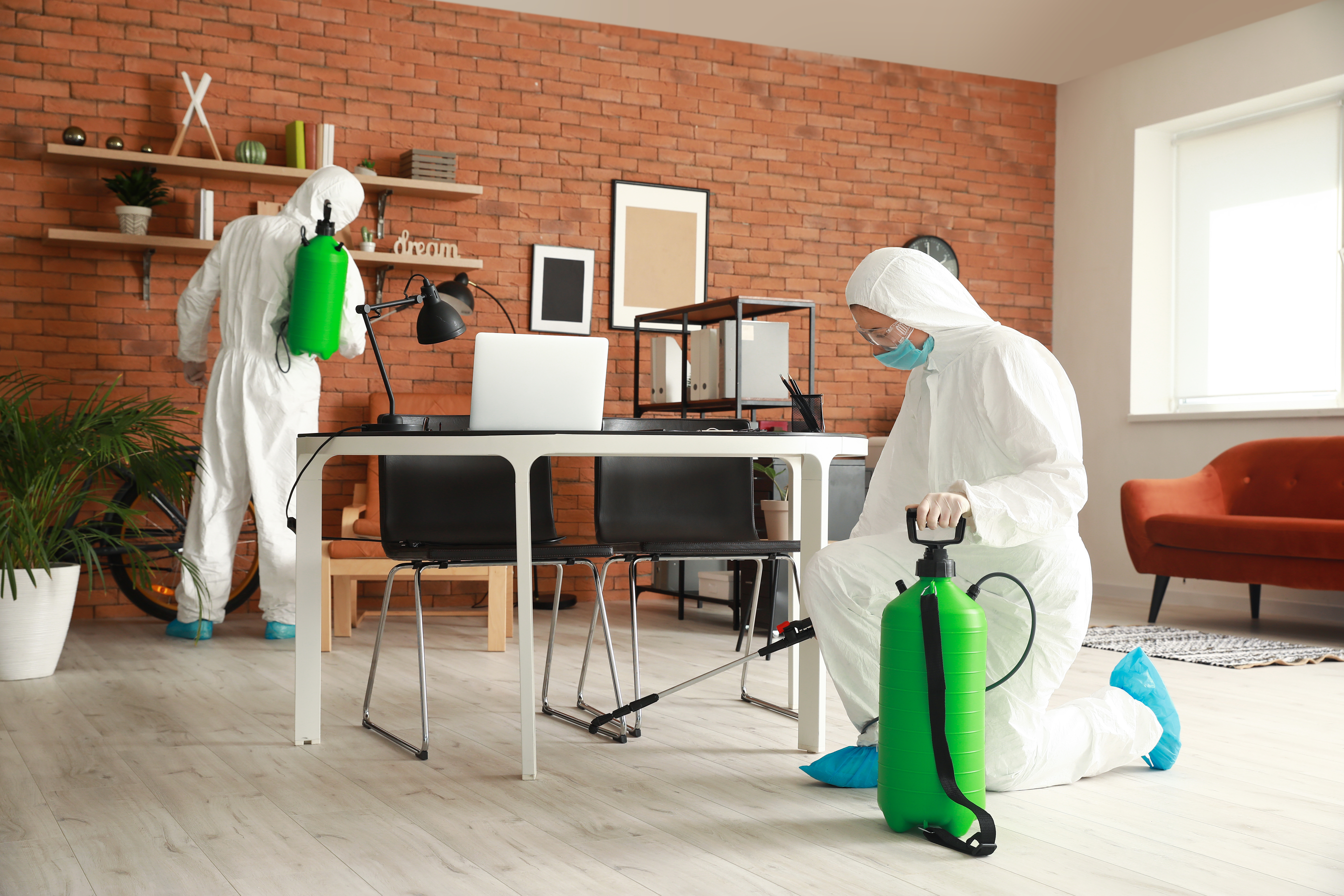 spraying against pests in offices