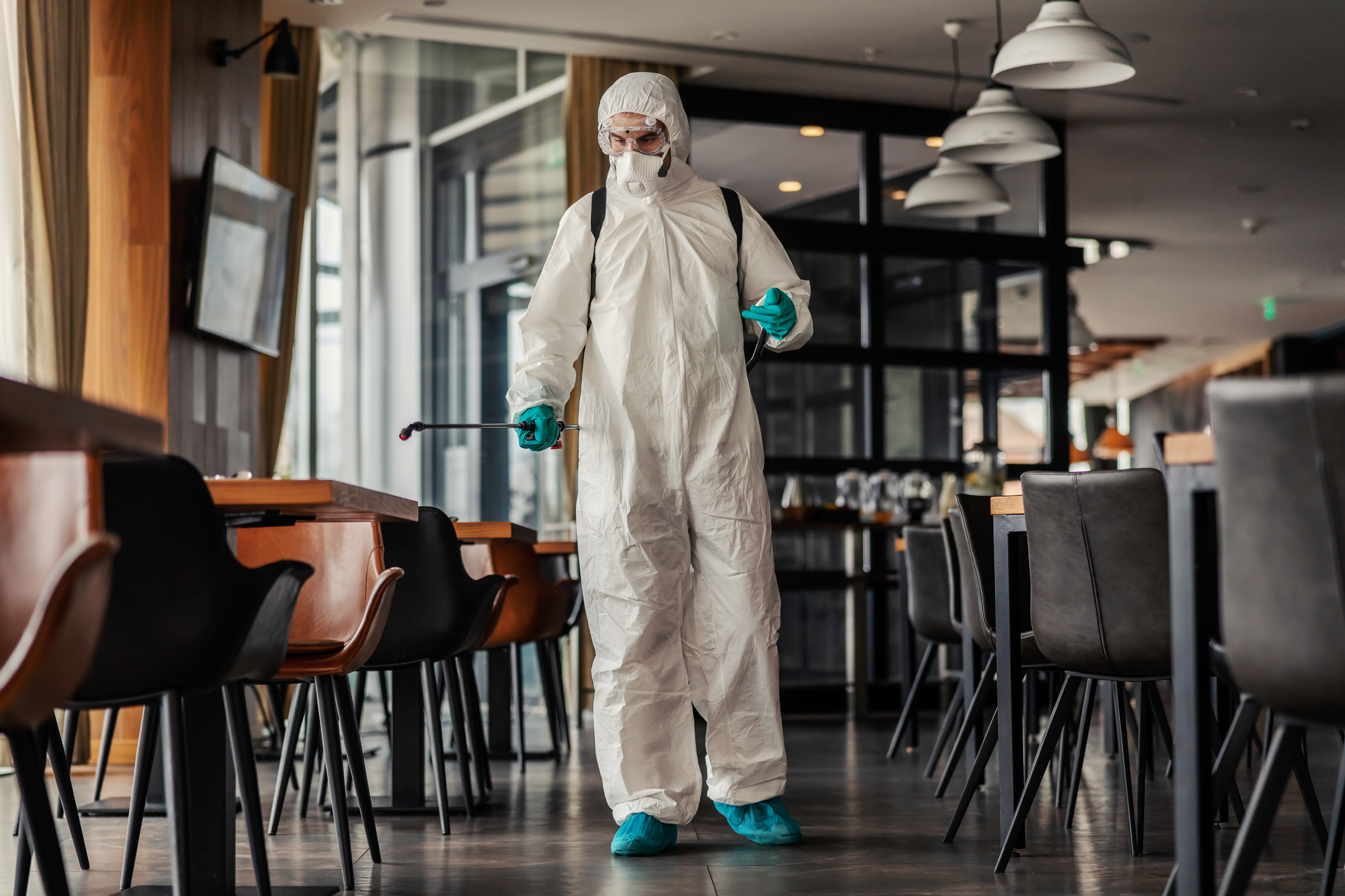 spraying against pests in restaurants