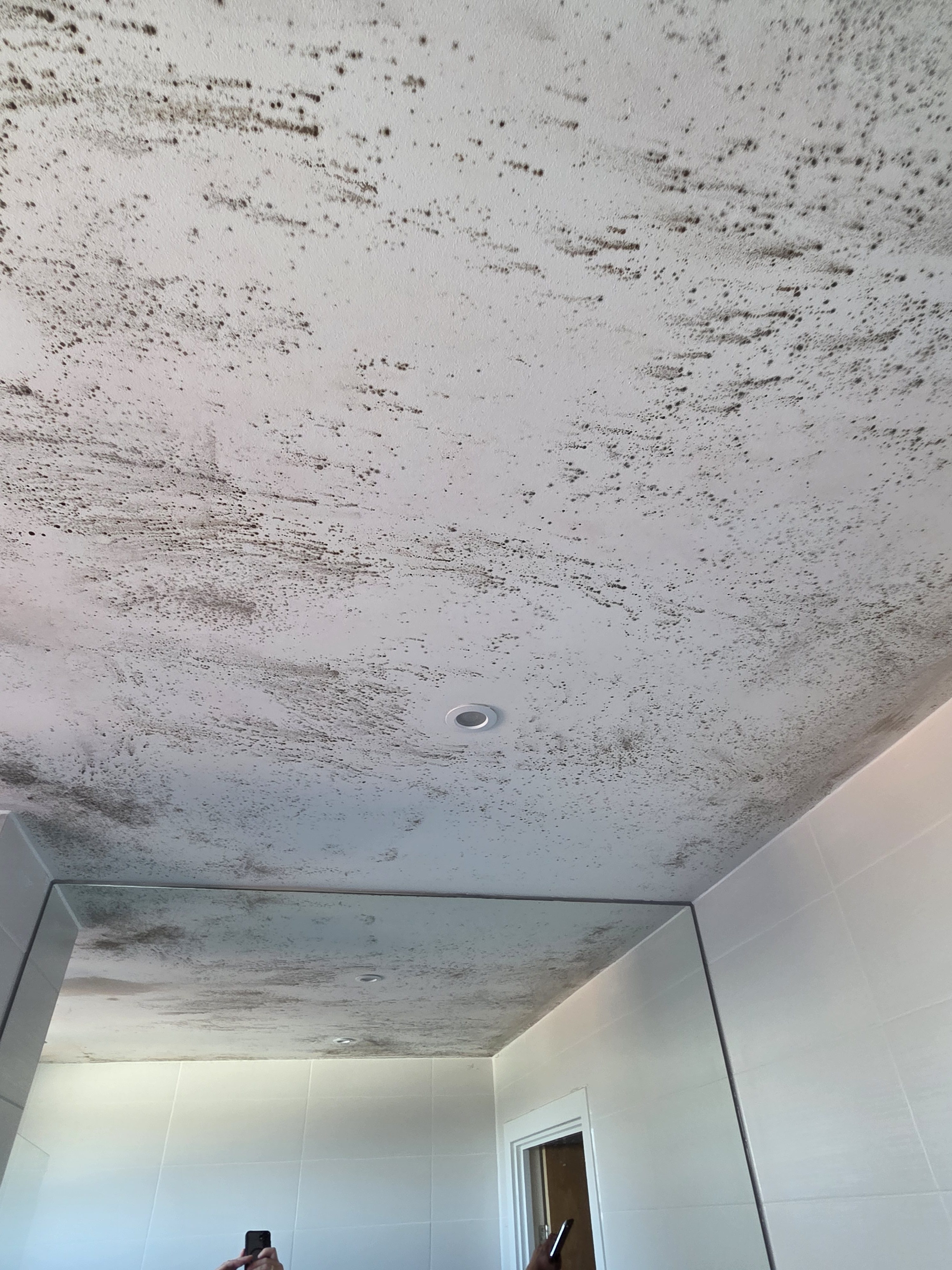 bathroom mould removal before Before treatment of a mould issue with bathroom cieling