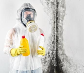 emergency mould removal service