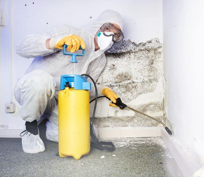 house mold treatment
